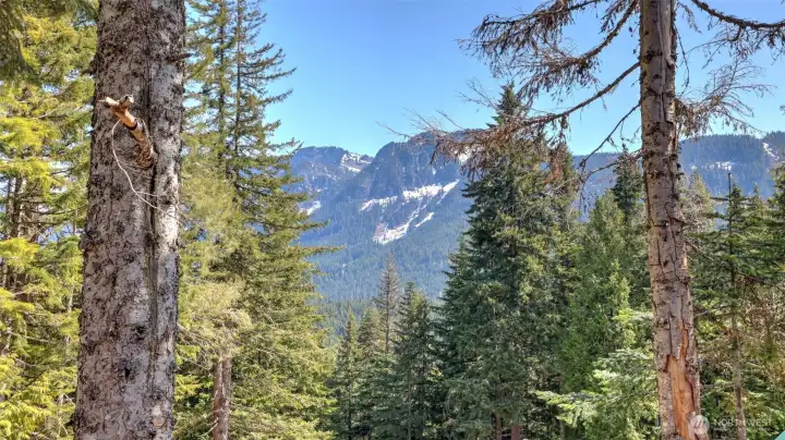 Views from the deck- Pacific Northwest at it's finest.