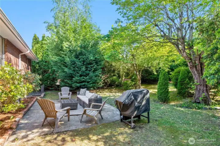 Backyard patio.