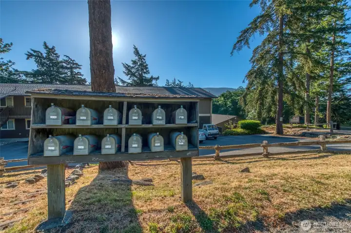 Mailboxes on Lover's Lane. Mailboxes on Lover's Lane.