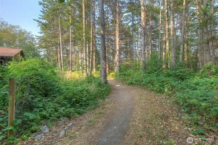 This is the magical path leading to town. This is the magical path leading to town.