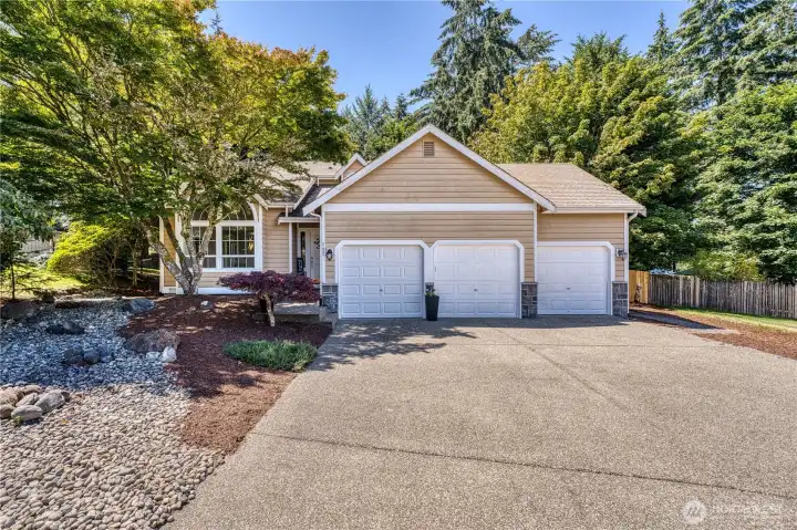 Welcome home! Welcome home!