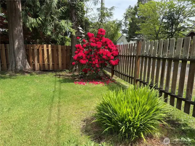 Thoughtfully landscaped.