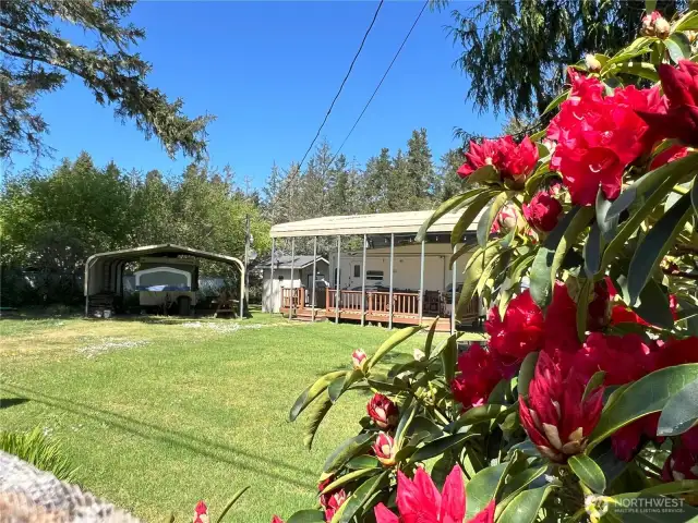 Close to the beach, Willapa Bay and Ocean Park for shopping and eatiers.