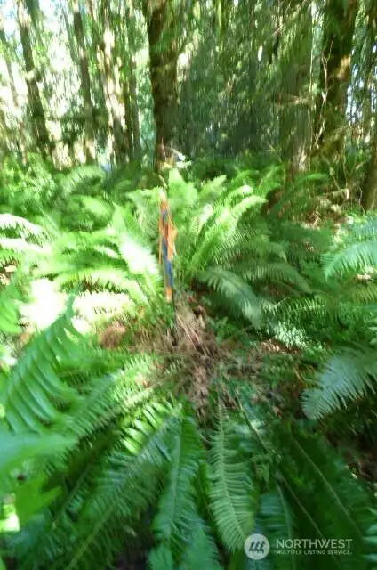 SW corner marker for property.
