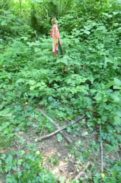 NE marker for the property - x marks the spot.