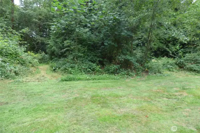 Part of the backyard with a trail leading into your woods.