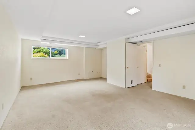 Flex room lower level
