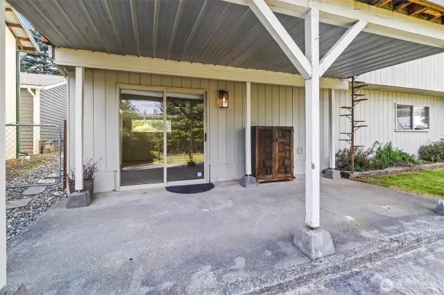 Covered and cozy lower back patio with kitty ladder