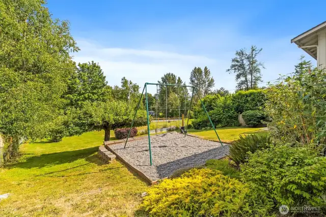 Swing set in the monster backyard