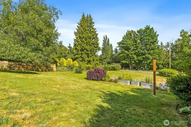Fully fenced backyard