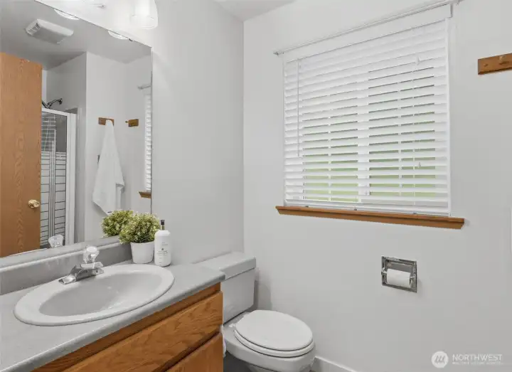 Lower level 3/4 bathroom