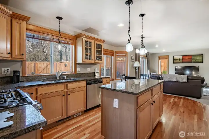 Kitchen windows overlooking the back yard