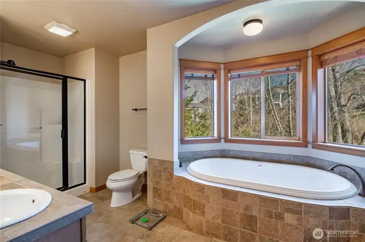 Primary bath, soaking tub and separate shower
