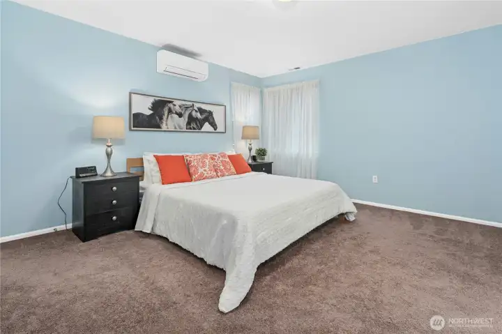 More designer colors