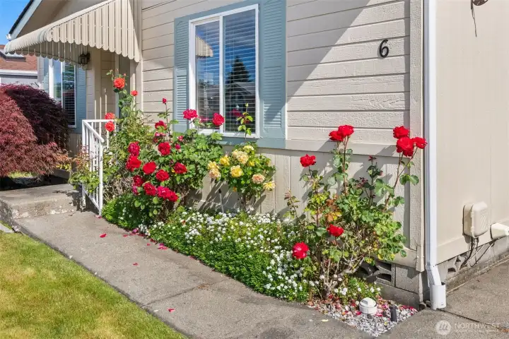 Gorgeous Flowerbeds Gorgeous Flowerbeds