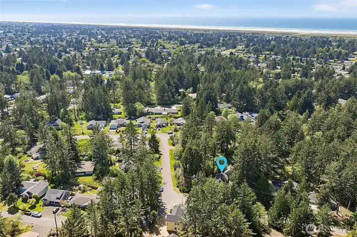 Enjoy the Sandy Beaches of Ocean Shores