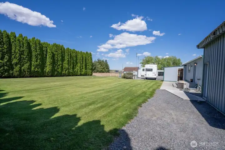 Luscious green lawn with added privacy