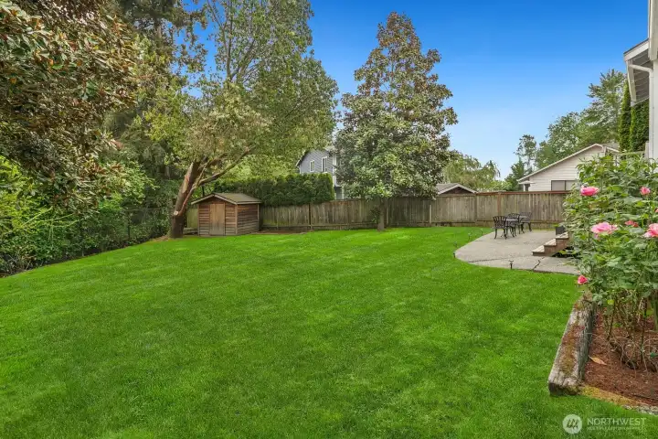 Backyard Facing South