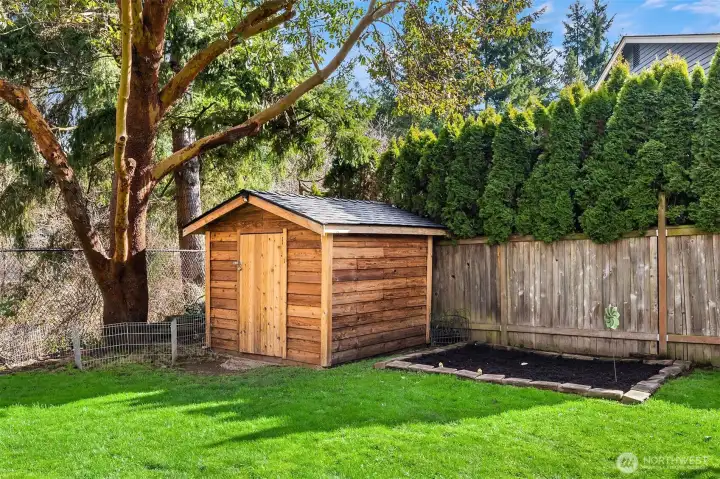 Backyard Shed