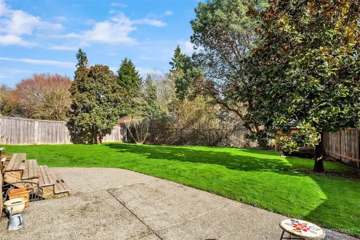 Backyard Facing Northeast