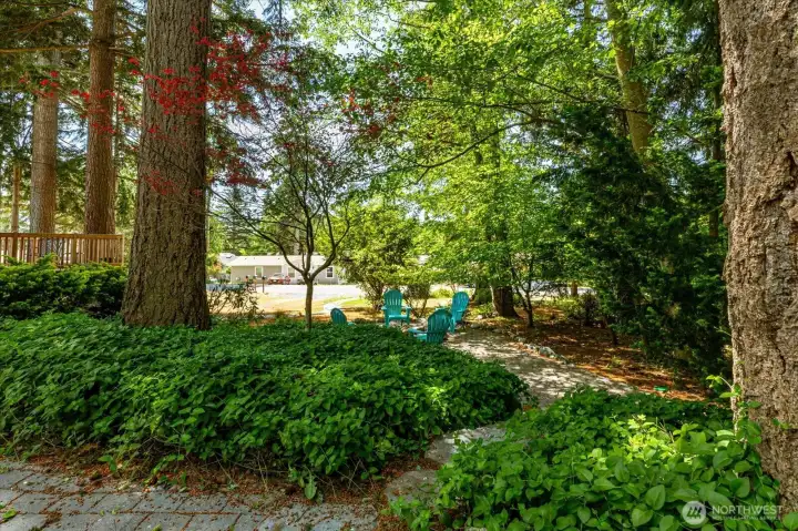 Looking from the back of the property toward the street. It's very private here.