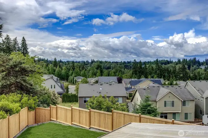 New fence and sod.  Flat yard with views