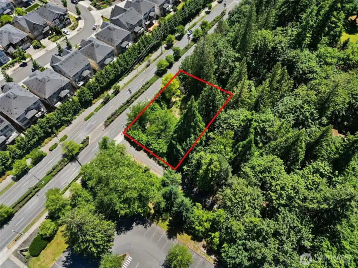 *Property lines are rough estimates and subject to buyer verification