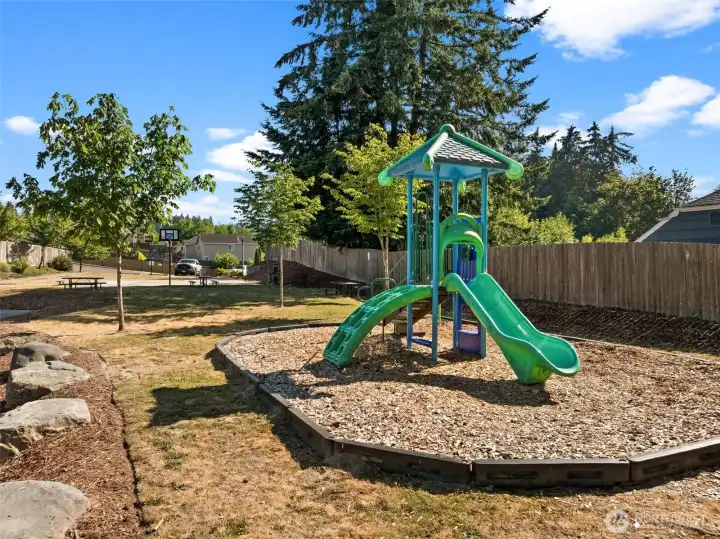 Community playground and basketball court Community playground and basketball court