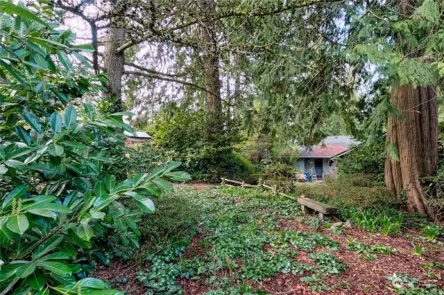 Garden sitting area