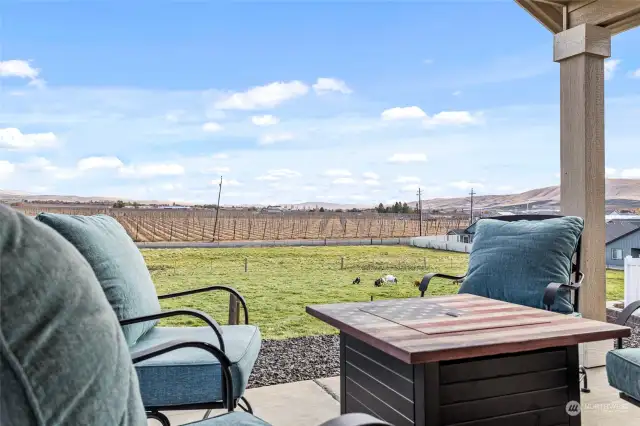 Relax on the covered patio