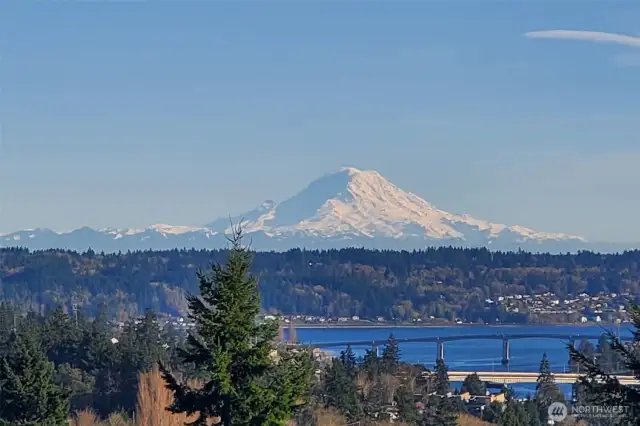 View from the back deck