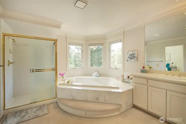 Jetted tub with a view of nature
