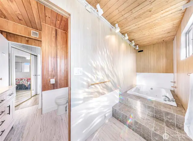 Large main bathroom w/hotutb area!