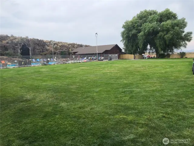 Grassy play area