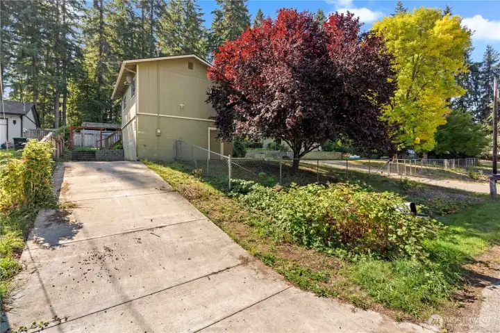 Private drive to shop