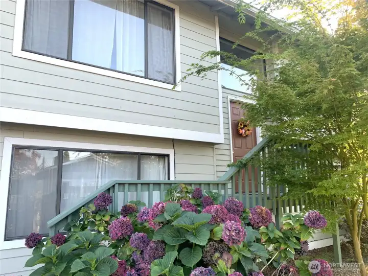 Front Entry