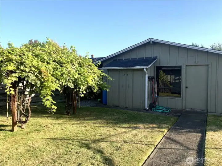 Shop and Grape Arbor