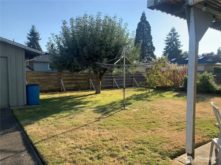 Back Yard