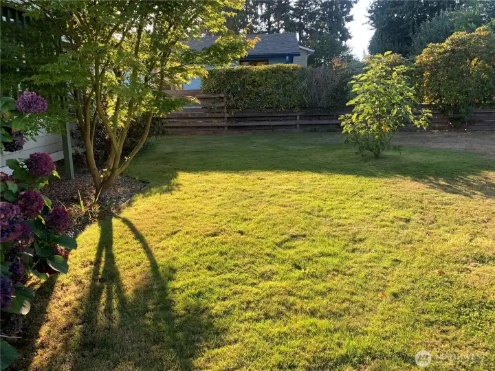 Front Yard