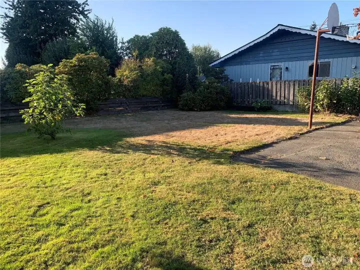 Front Yard
