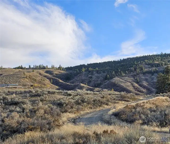 Looking NE from culdesac area