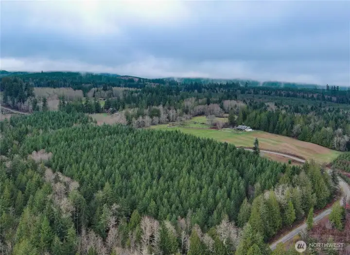 Exceptional 20 acre parcel near Lake Leland. The perfect property for those who love the outdoors. Endless recreational activities await you, just moments away !