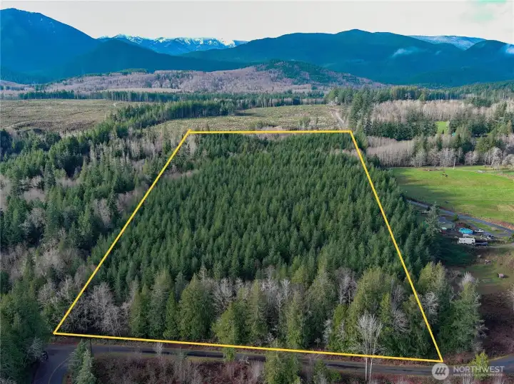 View of the property with the snow capped Olympic mountain peaks in the distance.  Approximate property lines for the site. There is a portion of property along Munn Road in the foreground that is not included in the sale.