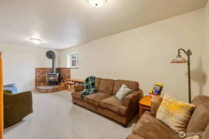 Rec/TV/Movie room