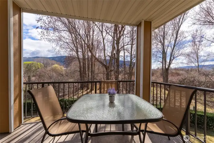 Main Floor Deck views over wetland area and lawn