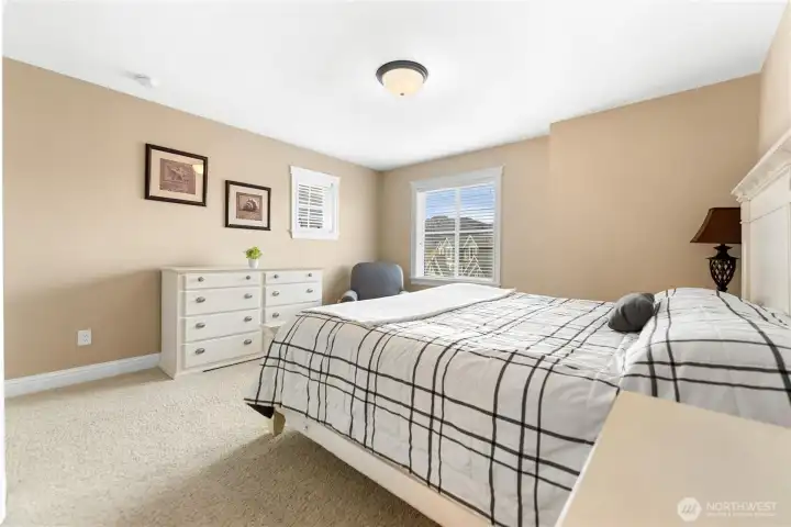 Suite 1 alternate view