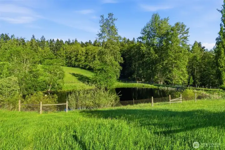 2 creek fed ponds