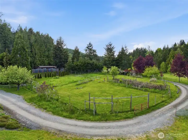 Garden w/ Apple, plum & crabapple trees