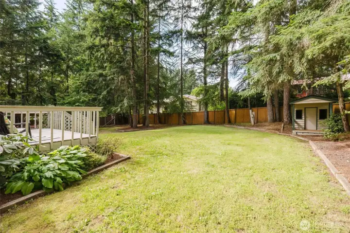 Large fully fenced backyard