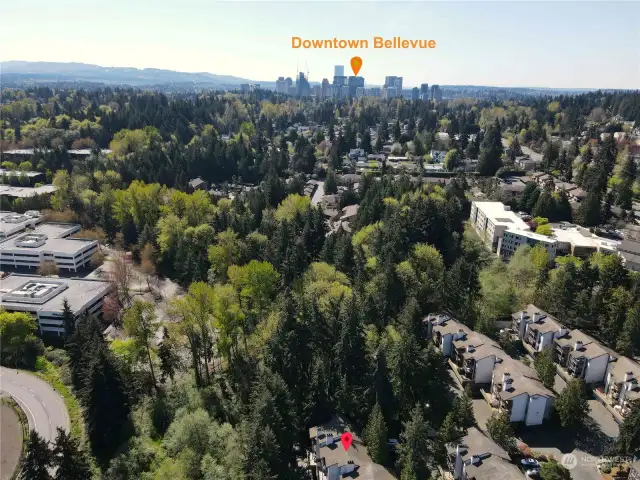 Home is near downtown Bellevue.